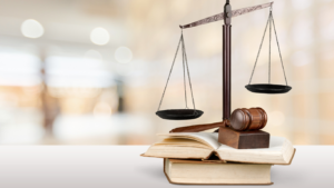 Gesetzliche Vorgaben der WHO und WHG § 54 & 55 Abs. 1 – Schutz von Gewässern bei Reinigungsarbeiten